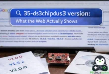 35-ds3chipdus3 version What the Web Actually Shows