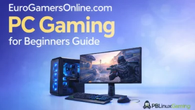 EuroGamersOnline.com PC Gaming for Beginners Guide