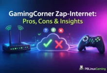GamingCorner Zap-Internet Pros, Cons & Key Insights