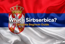 What Is Sirbserbica Complete Beginner Guide