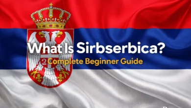 What Is Sirbserbica Complete Beginner Guide